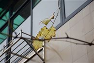 《南通市建筑垃圾管理条例(草案)》公开征求意见!
